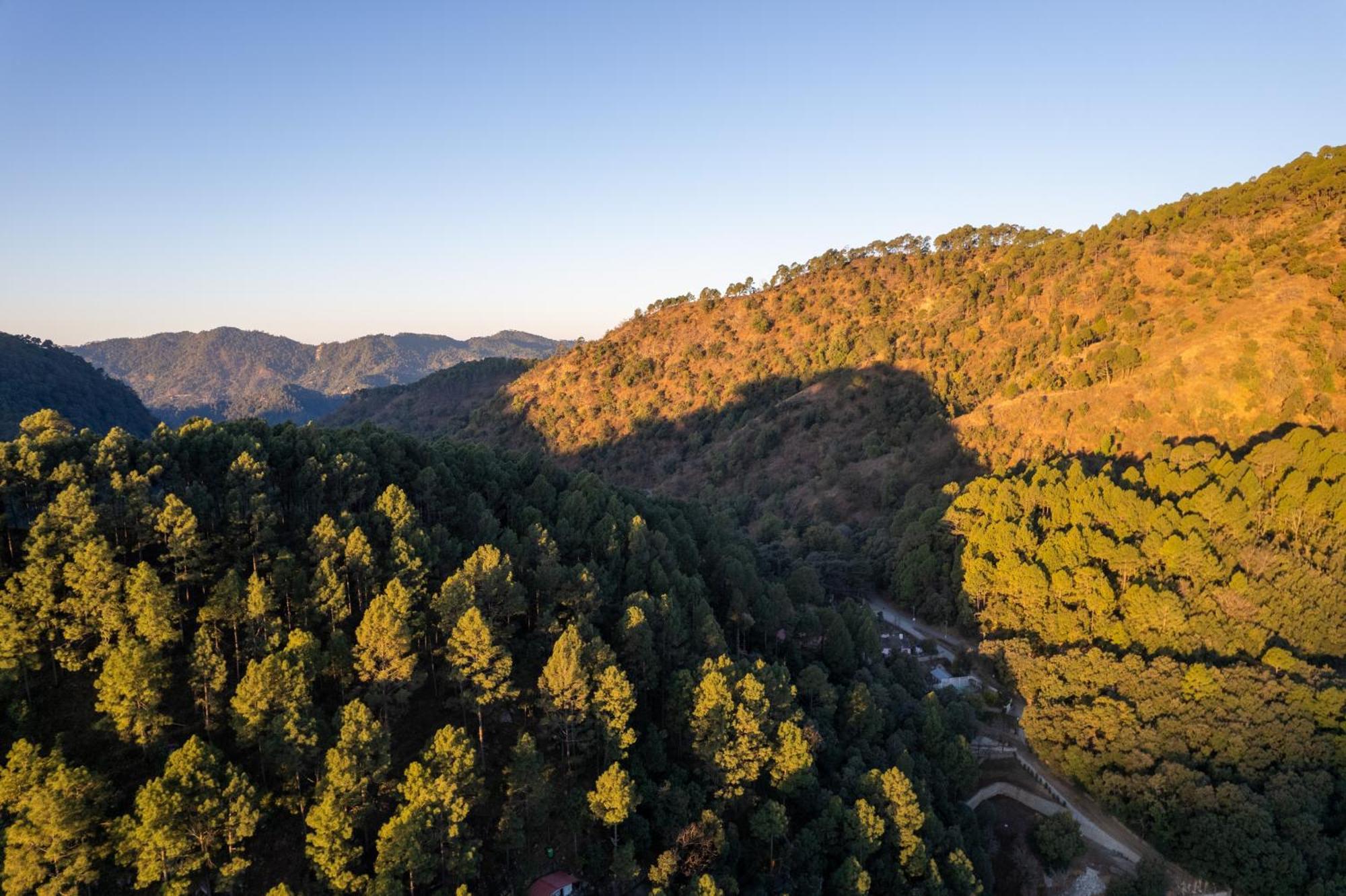 The Canadian Woods Resort Nainital Exterior photo